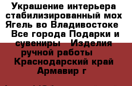 Украшение интерьера стабилизированный мох Ягель во Владивостоке - Все города Подарки и сувениры » Изделия ручной работы   . Краснодарский край,Армавир г.